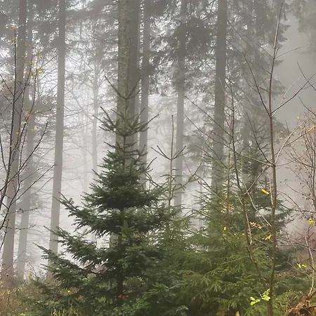 Bergwelt Kandel & Eventlocation Hotell