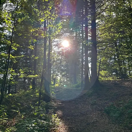 Bergwelt Kandel & Eventlocation 발드키르히