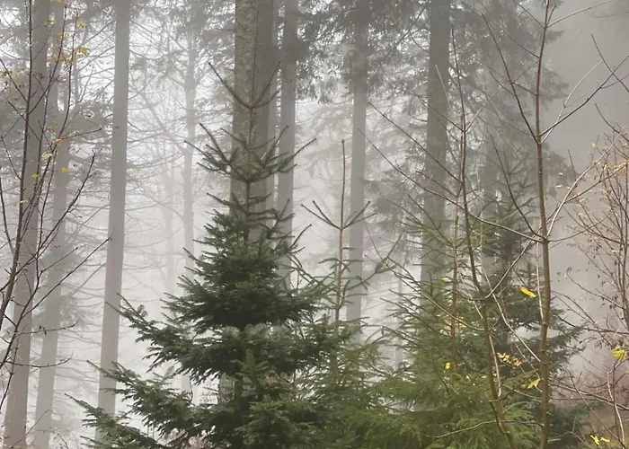 Bergwelt Kandel & Eventlocation Hotel