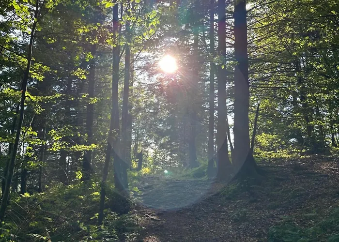 Bergwelt Kandel & Eventlocation Waldkirch