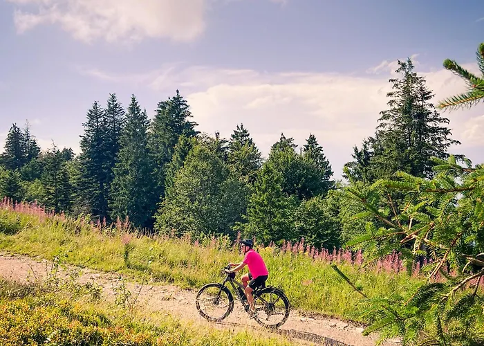 Hotel Bergwelt Kandel & Eventlocation *